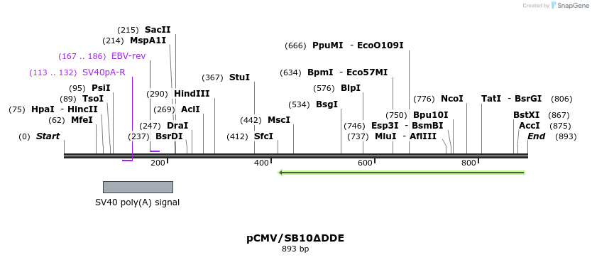 32743_map