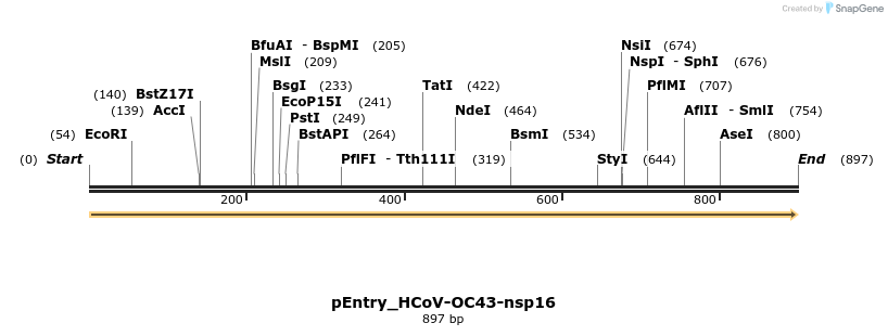 327446_map