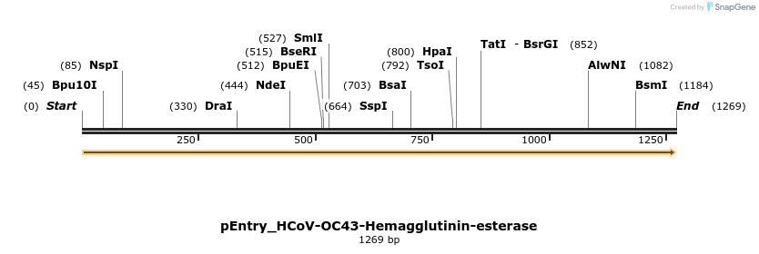 327450_map