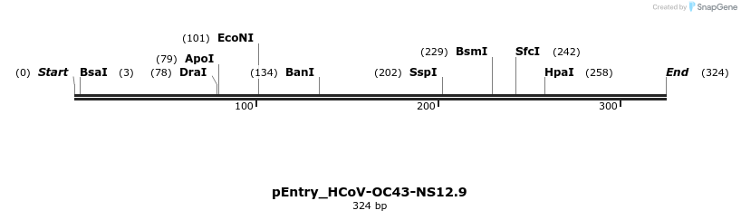 327452_map