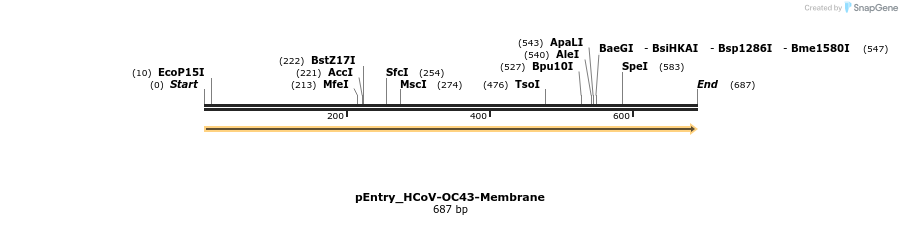 327456_map