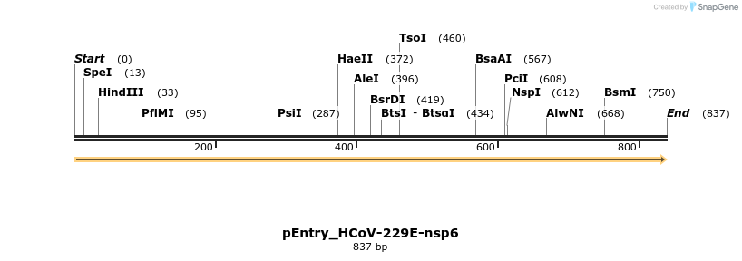 327474_map