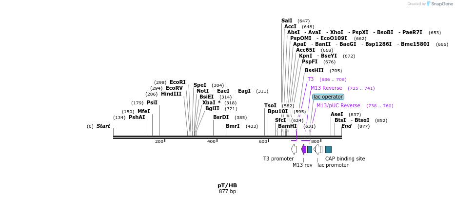 32748_map