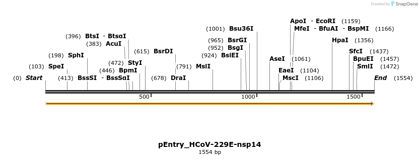 327484_map