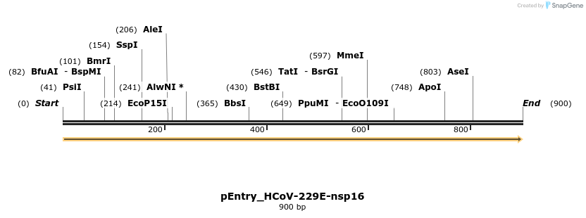 327488_map