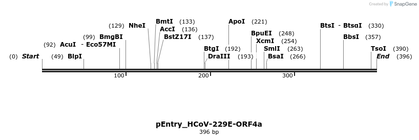 327490_map