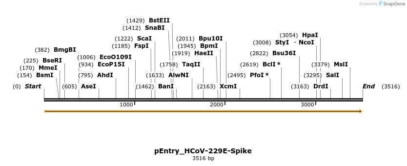 327506_map