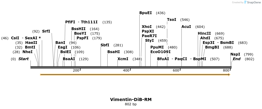 327512_map