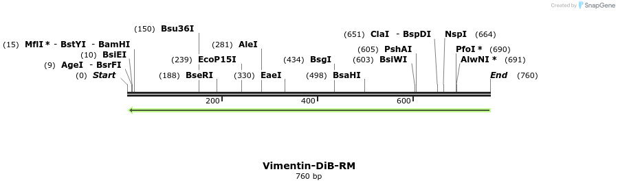 327514_map