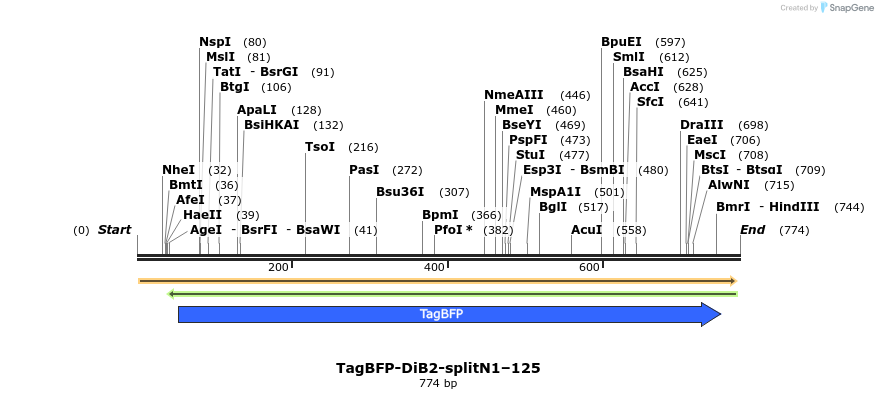 327520_map