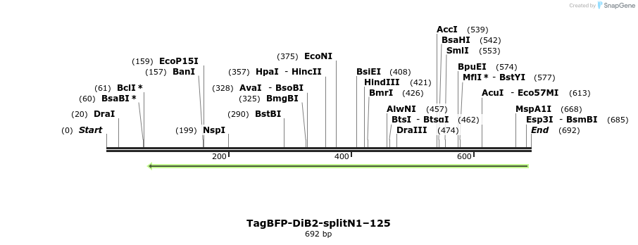 327521_map