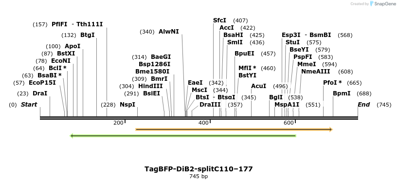 327532_map