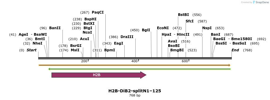327534_map