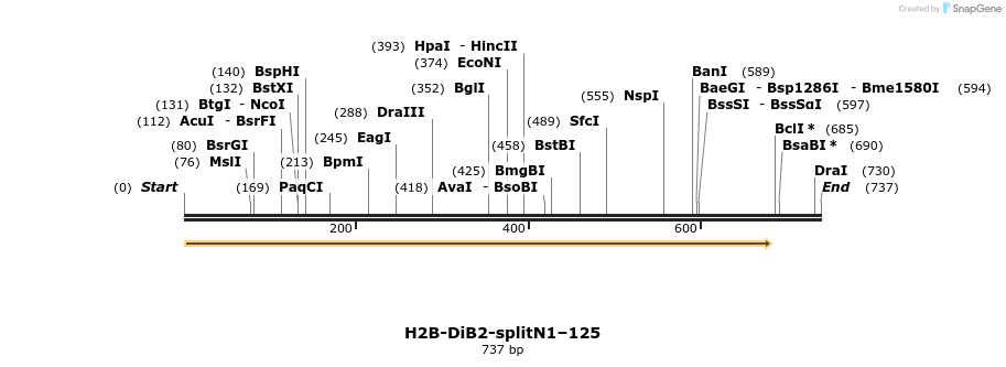 327535_map