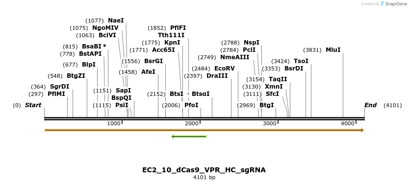 327585_map