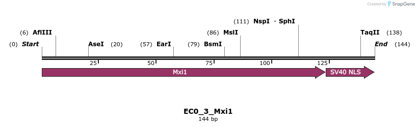 327599_map