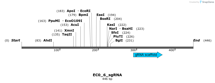 327607_map