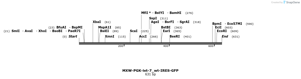 32775_map