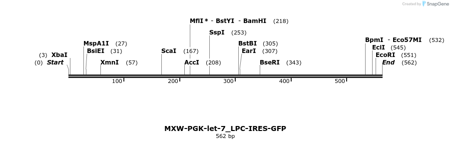32787_map
