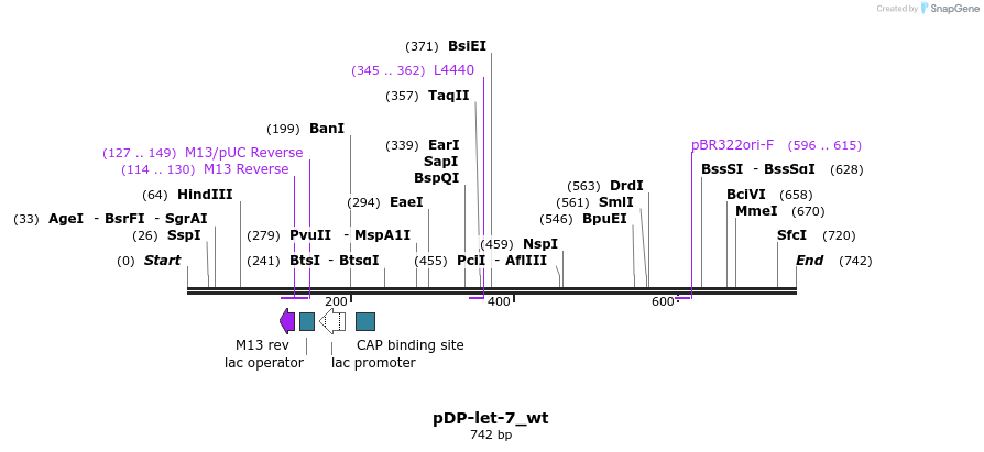 32789_map