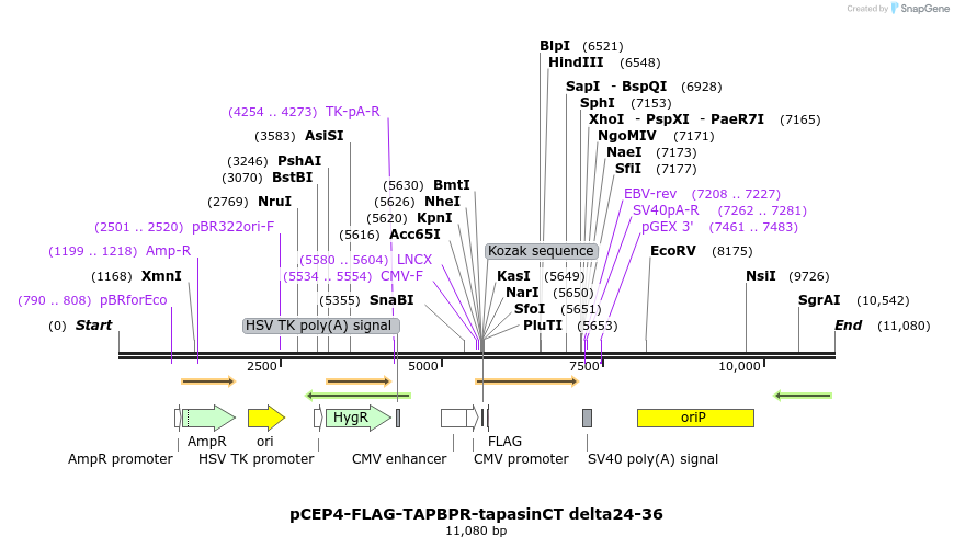 327924_map