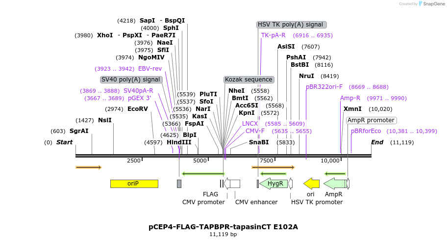 327925_map