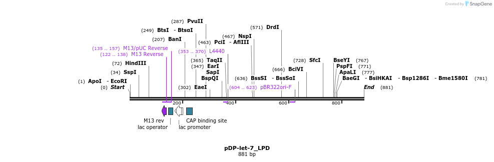 32793_map