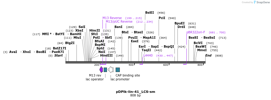 32795_map