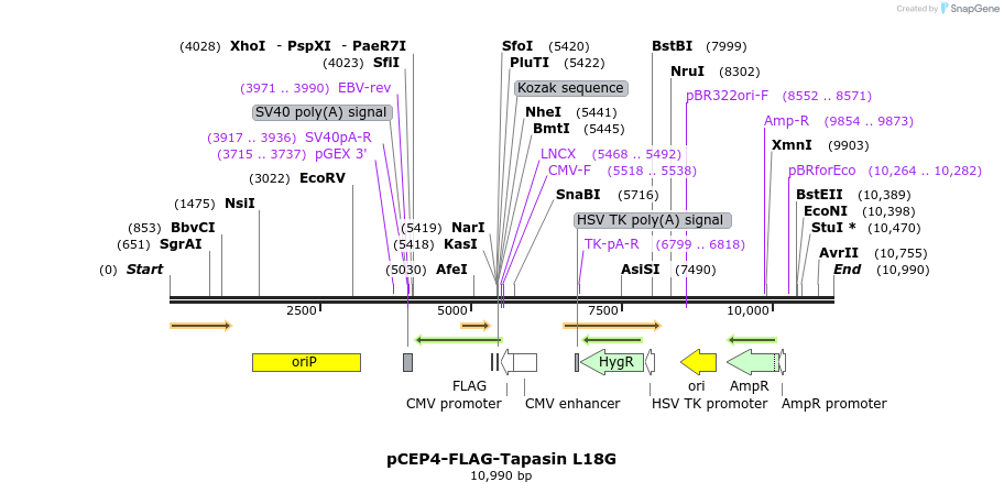 327963_map