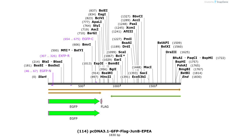 327980_map