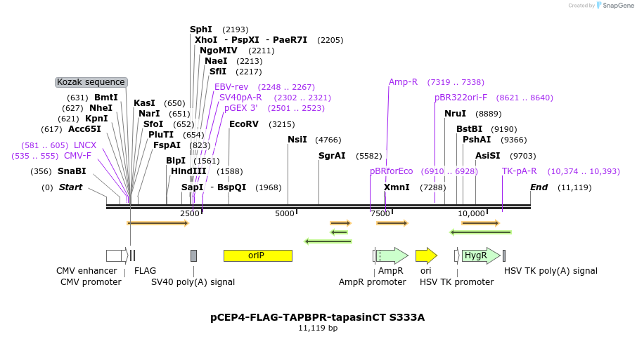 327993_map