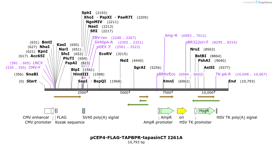 327996_map