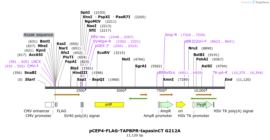 327998_map