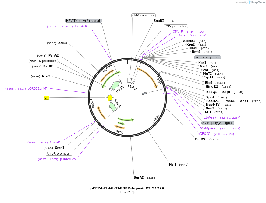 327999_map
