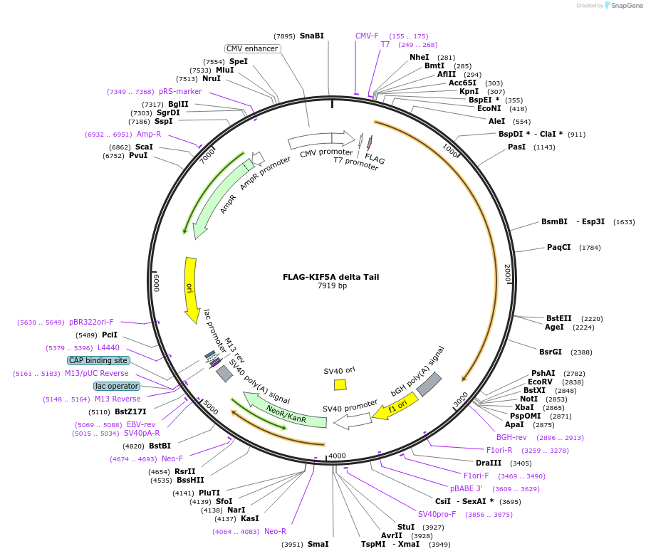 328019_map