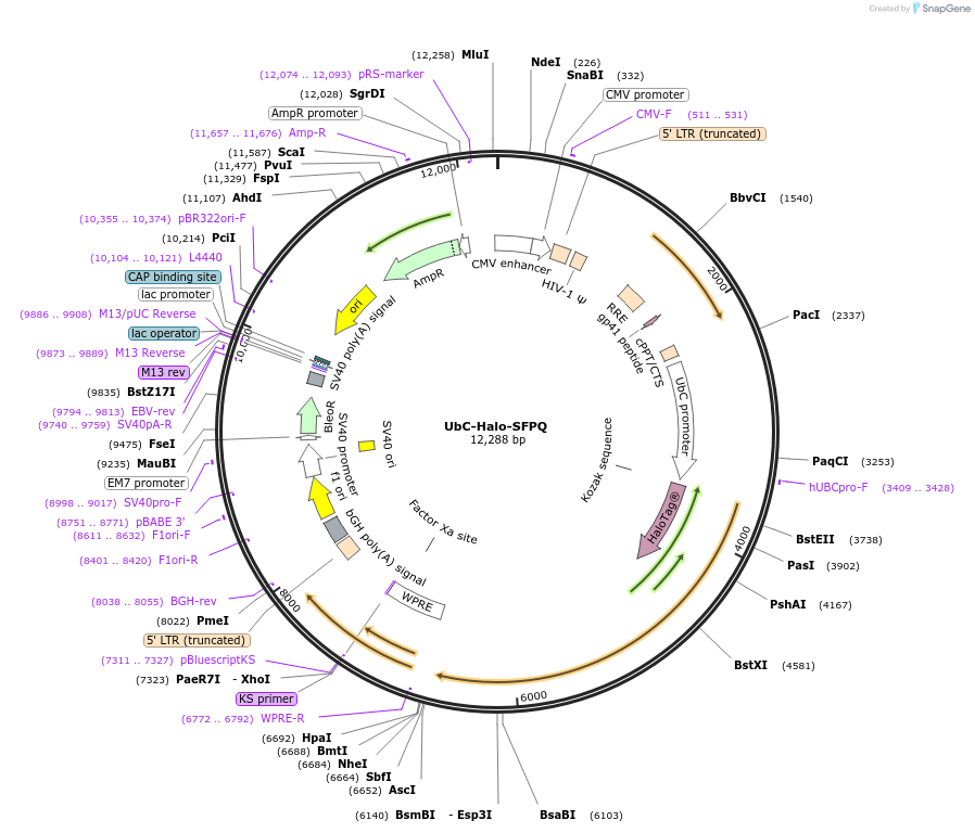 328027_map
