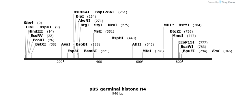 32811_map