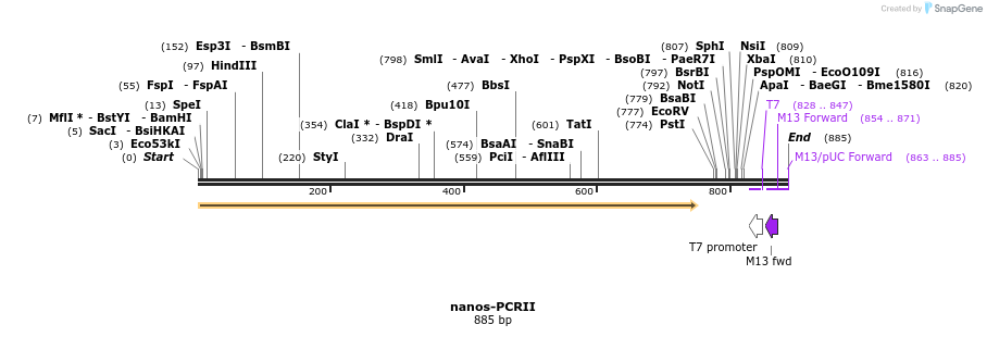32812_map
