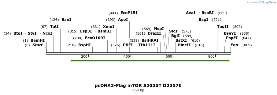 32819_map