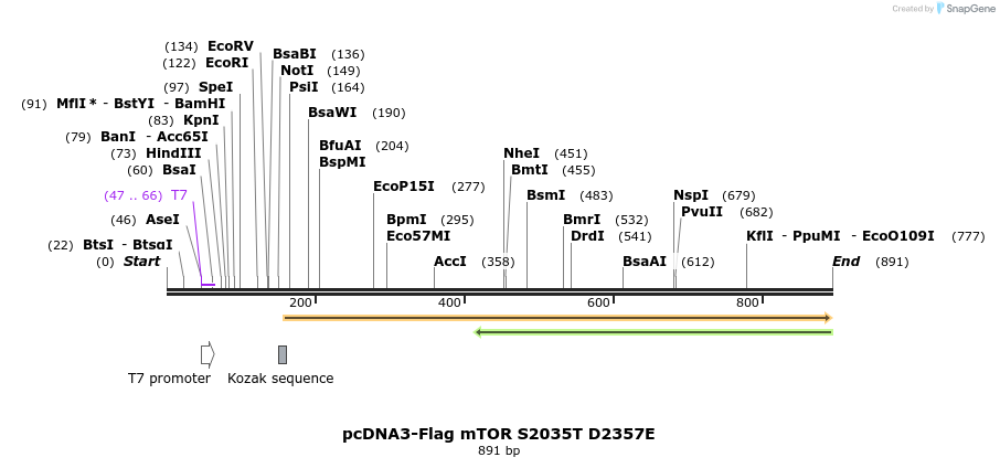 32821_map