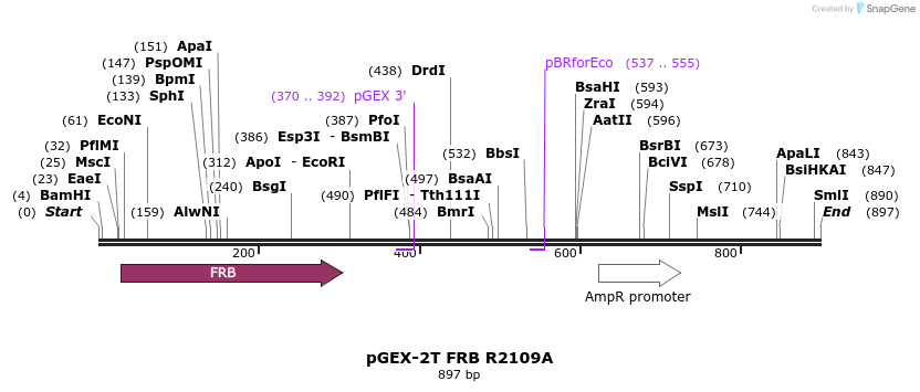 32826_map