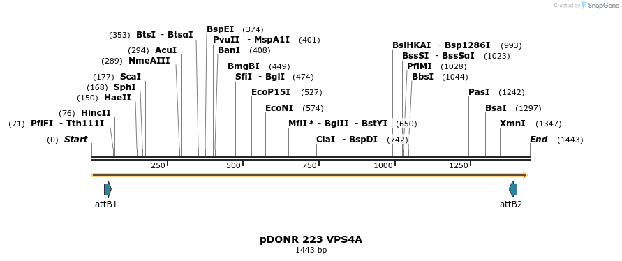 328358_map