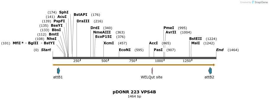 328364_map