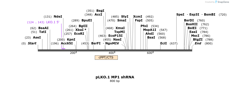 32842_map