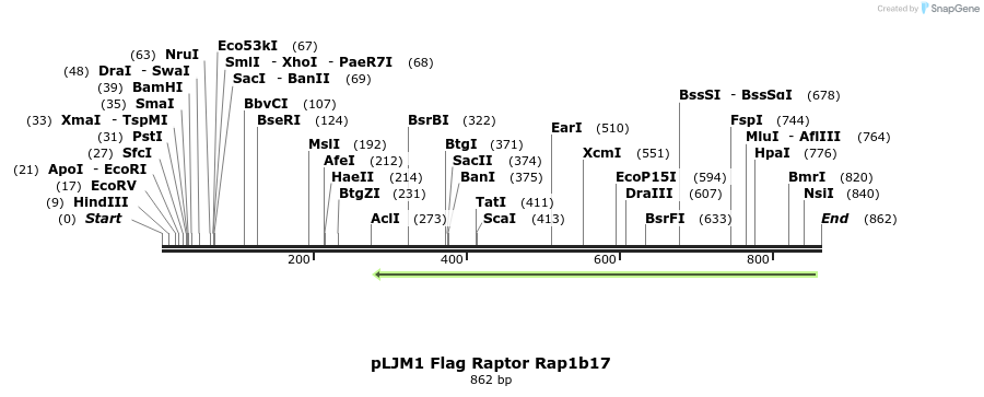 32847_map