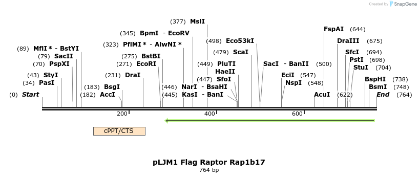 32848_map