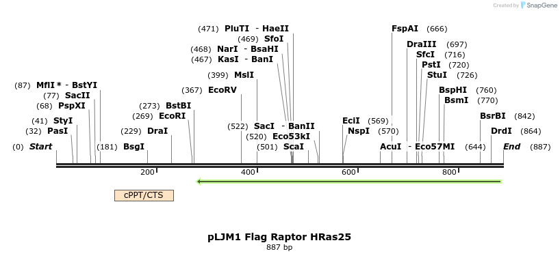 32850_map