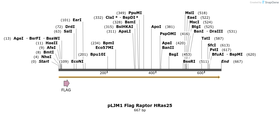 32851_map