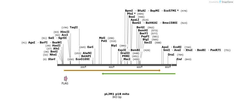 32852_map