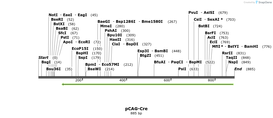 32864_map